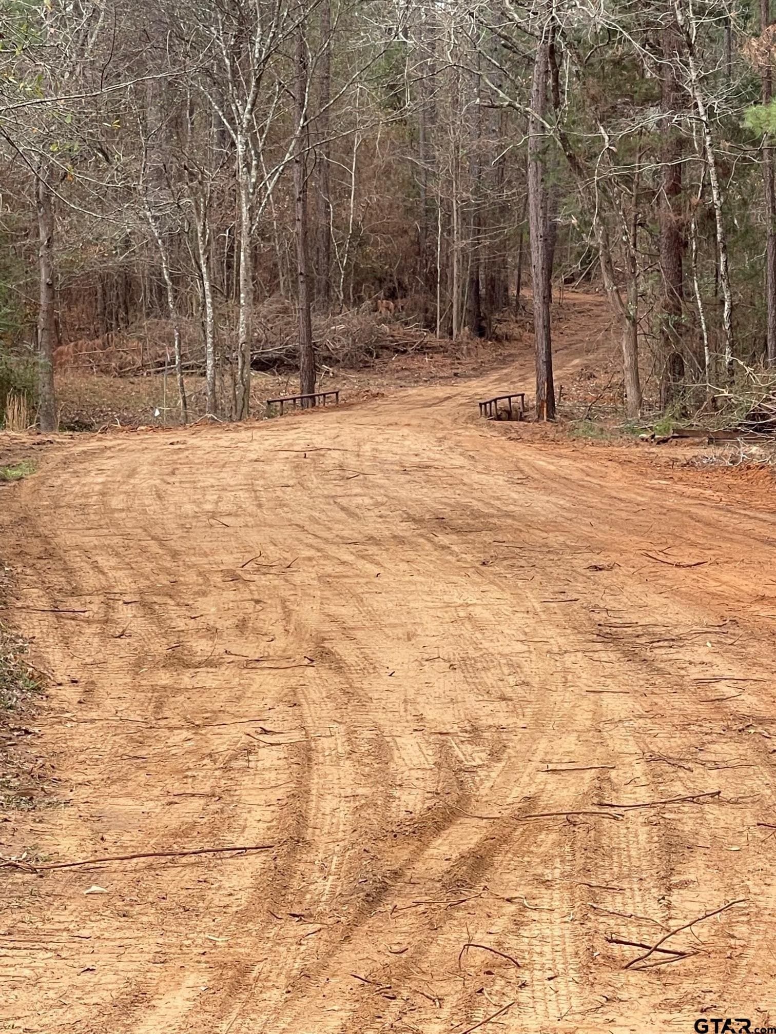460 acres in Gregg County - photo 6