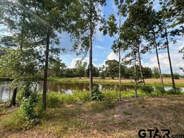 460 acres in Gregg County - photo 29