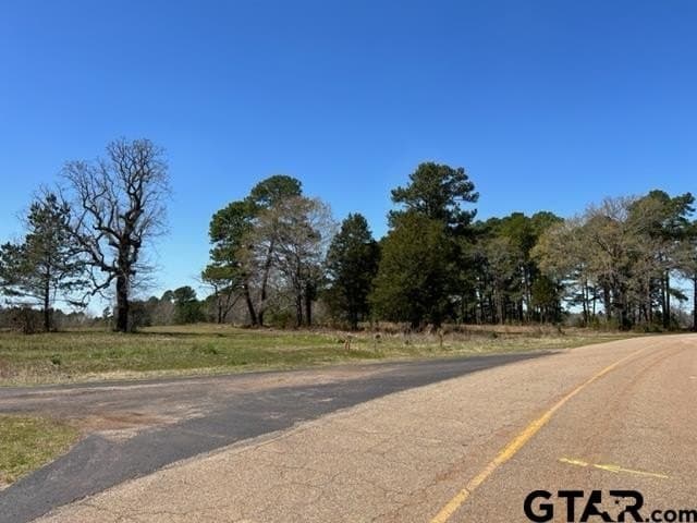 460 acres in Gregg County - photo 13