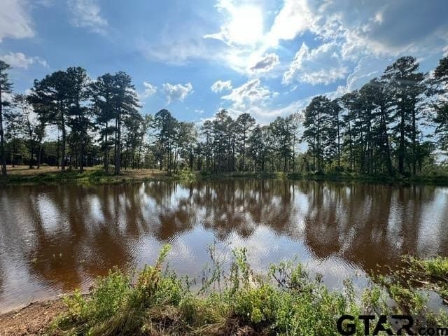 460 acres in Gregg County - photo 35