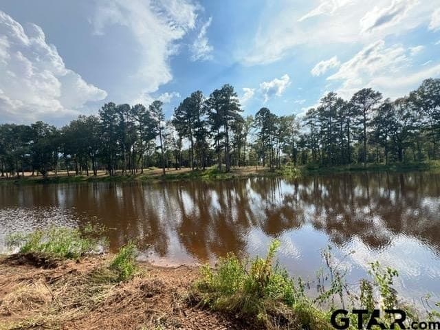 460 acres in Gregg County - photo 37