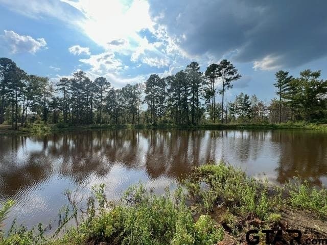 460 acres in Gregg County - photo 34