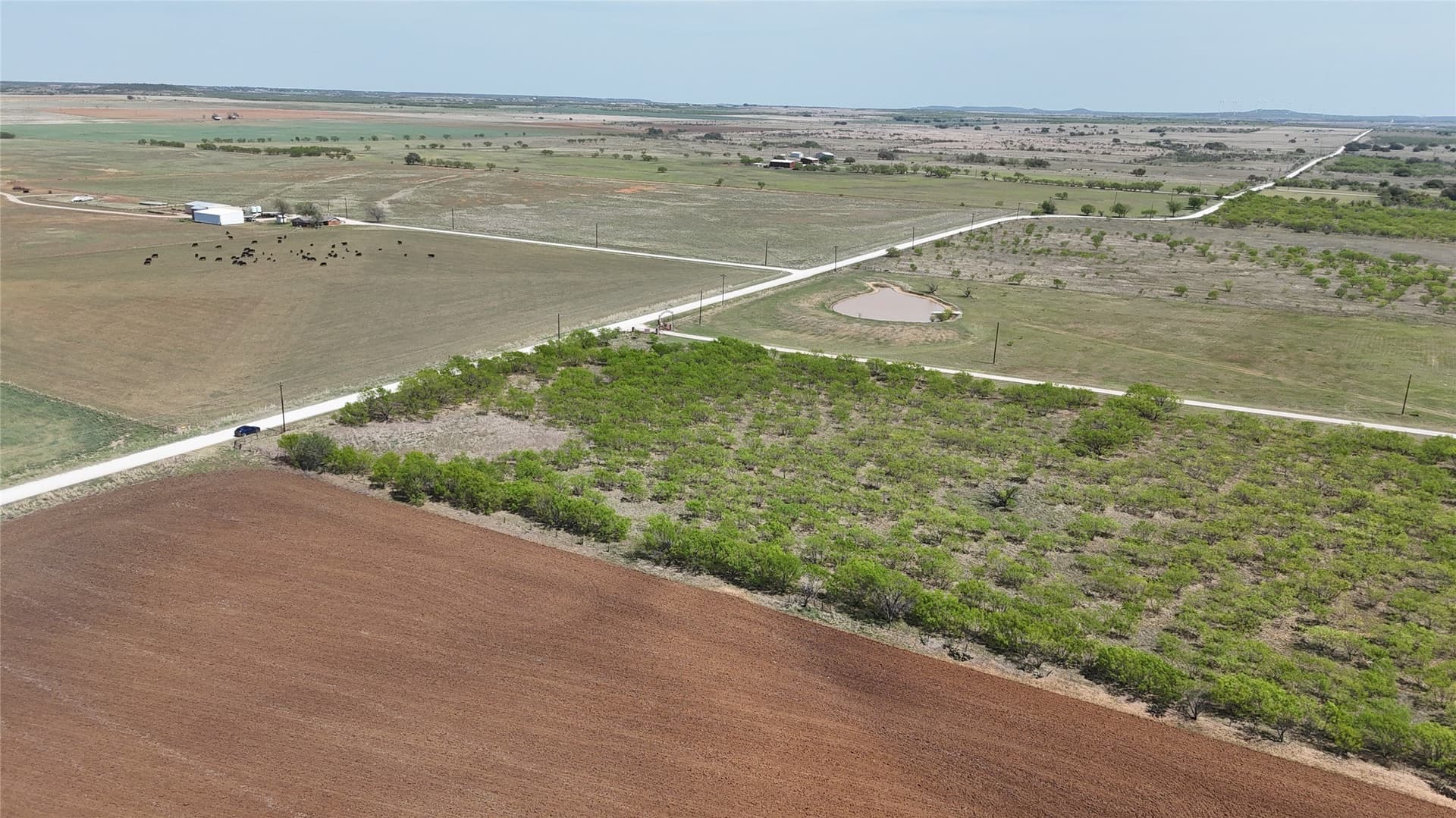 18.16 acres in Young County - photo 9