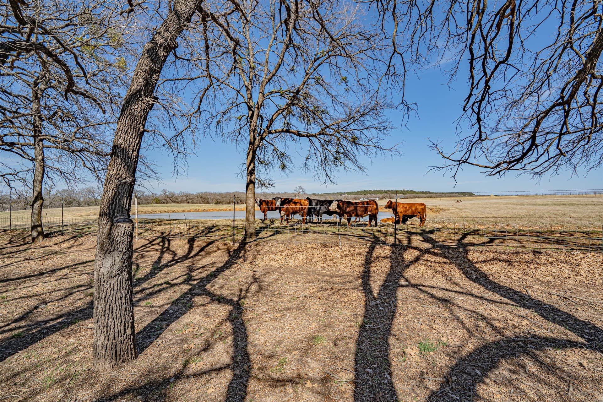 25.76 acres in Hood County - photo 11