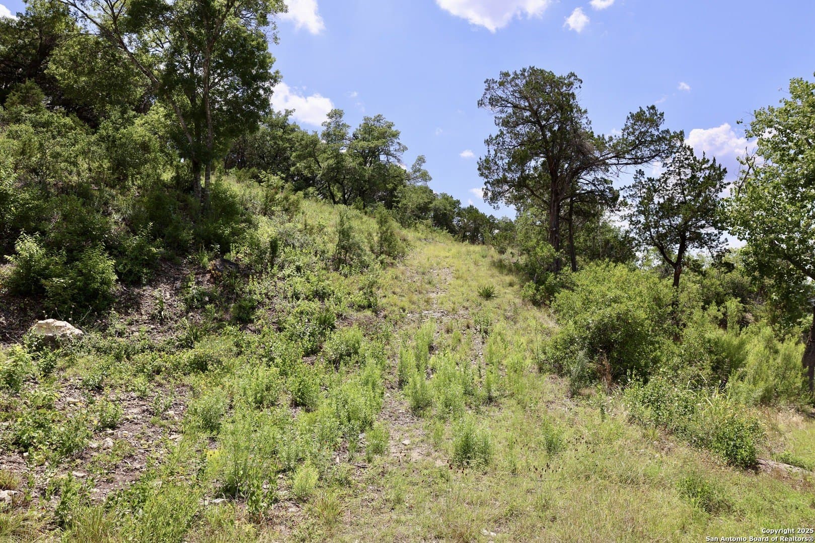 1.68 acres in Bexar County - photo 10