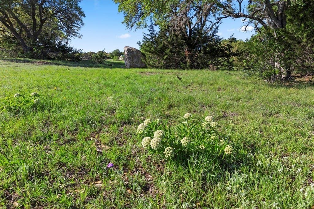 0.27 acres in Blanco County gallery image 4