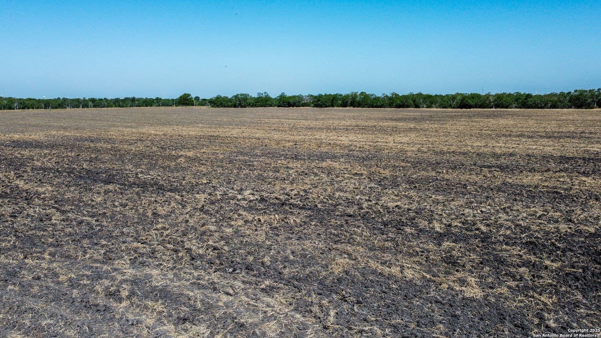 73.15 acres in Guadalupe County - photo 6