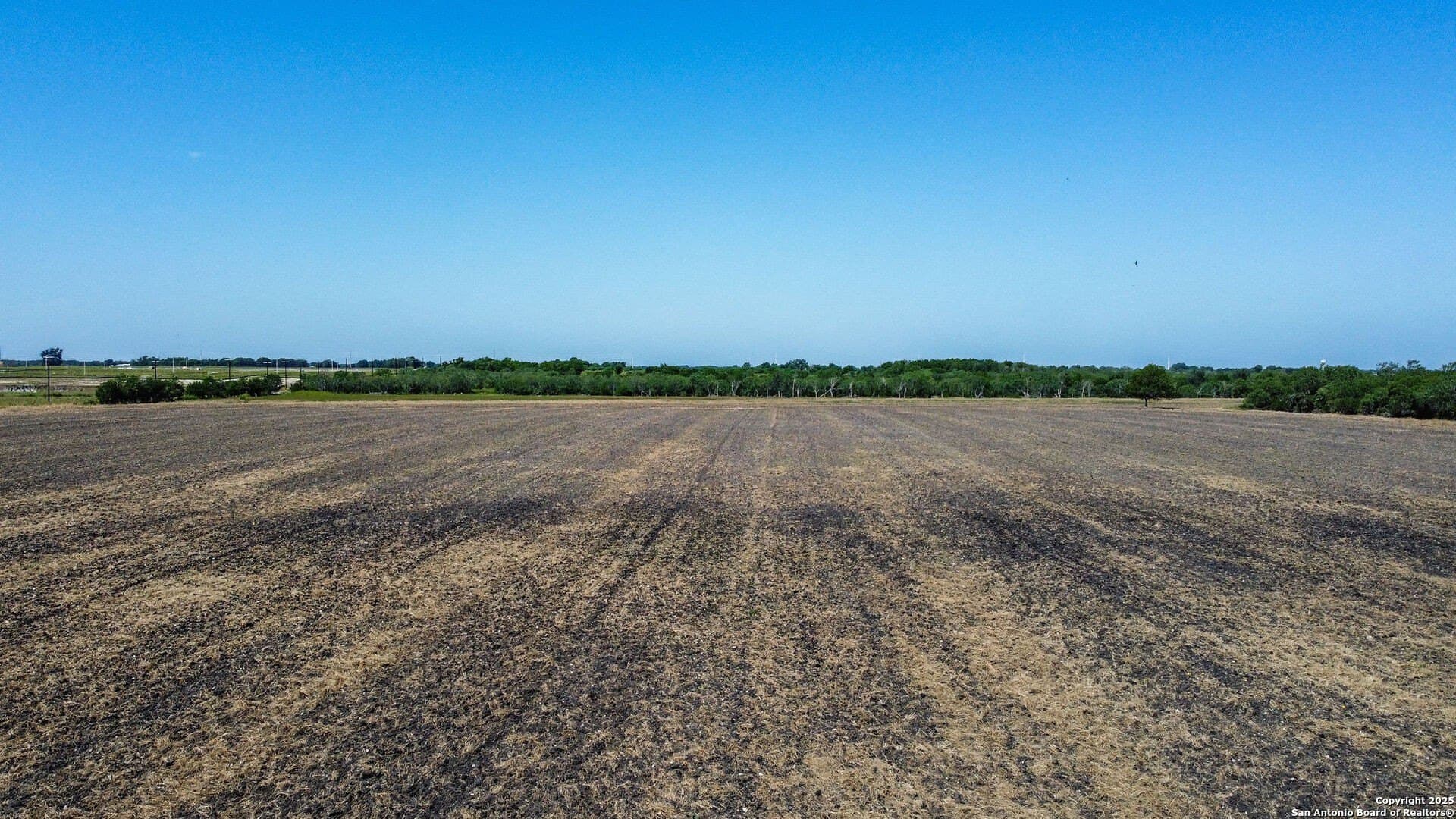 73.15 acres in Guadalupe County - photo 5