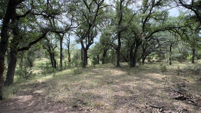 24.66 acres in Gillespie County - photo 7