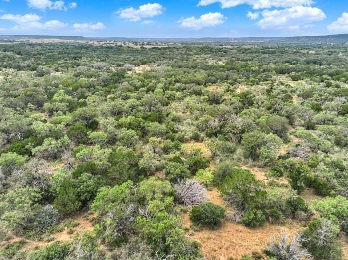 24.66 acres in Gillespie County - photo 13