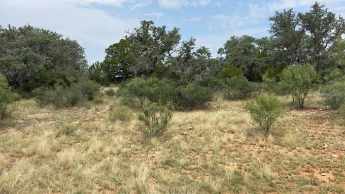 24.66 acres in Gillespie County - photo 25