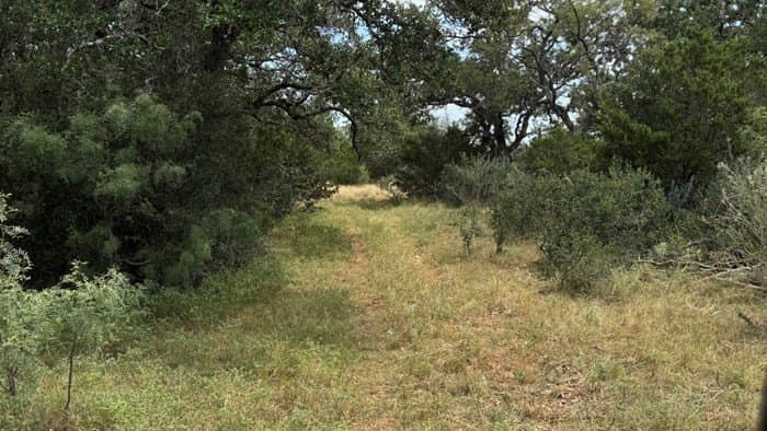 24.66 acres in Gillespie County - photo 9