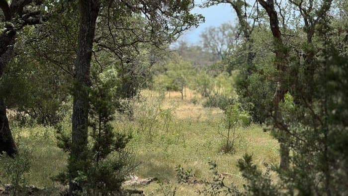 24.66 acres in Gillespie County gallery image 3