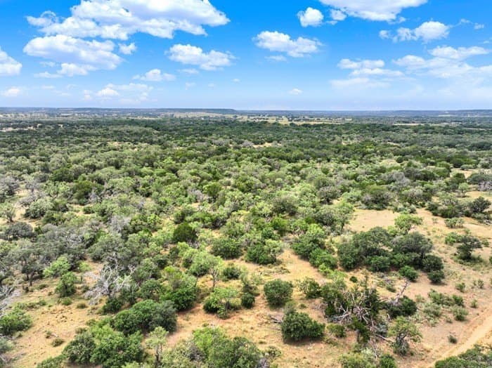 24.66 acres in Gillespie County gallery image 2