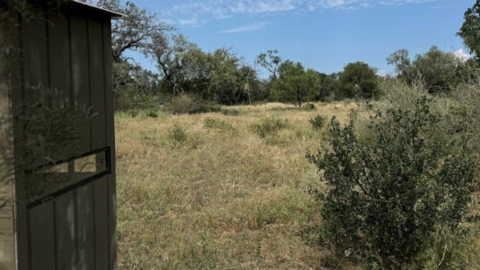 24.66 acres in Gillespie County - photo 27