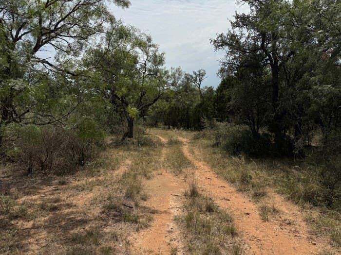24.66 acres in Gillespie County - photo 26