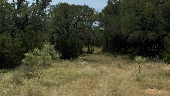 24.66 acres in Gillespie County - photo 12
