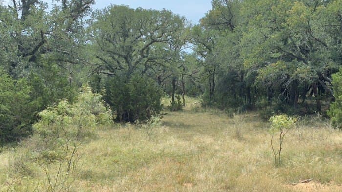 24.66 acres in Gillespie County - photo 15