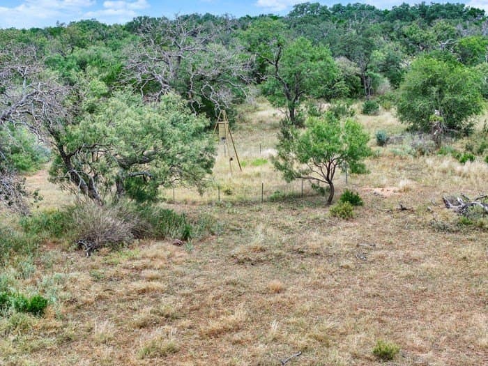 24.66 acres in Gillespie County - photo 8