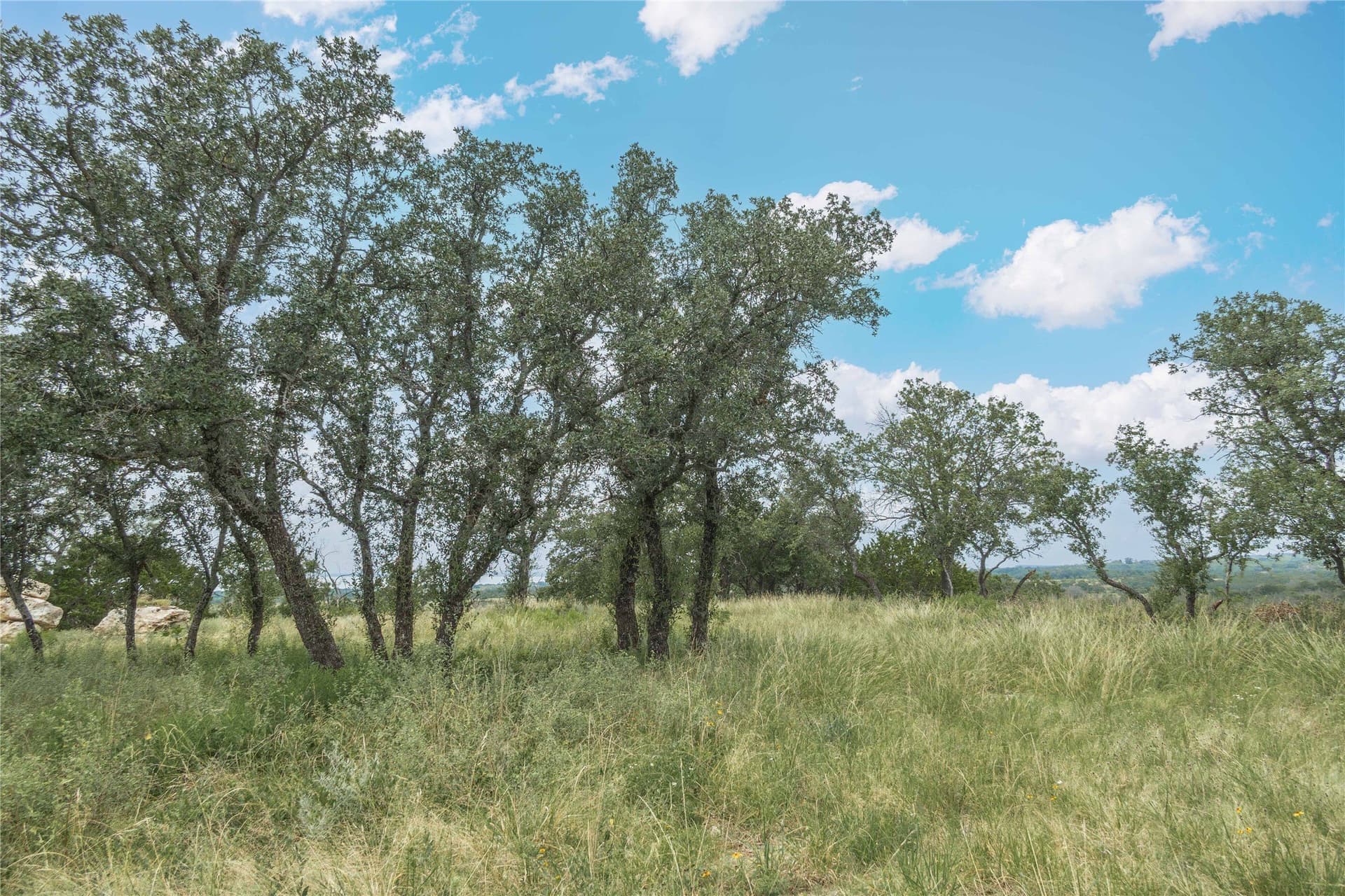 25.09 acres in Brown County - photo 8
