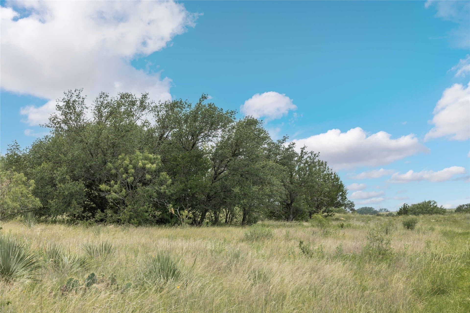 25.09 acres in Brown County - photo 37