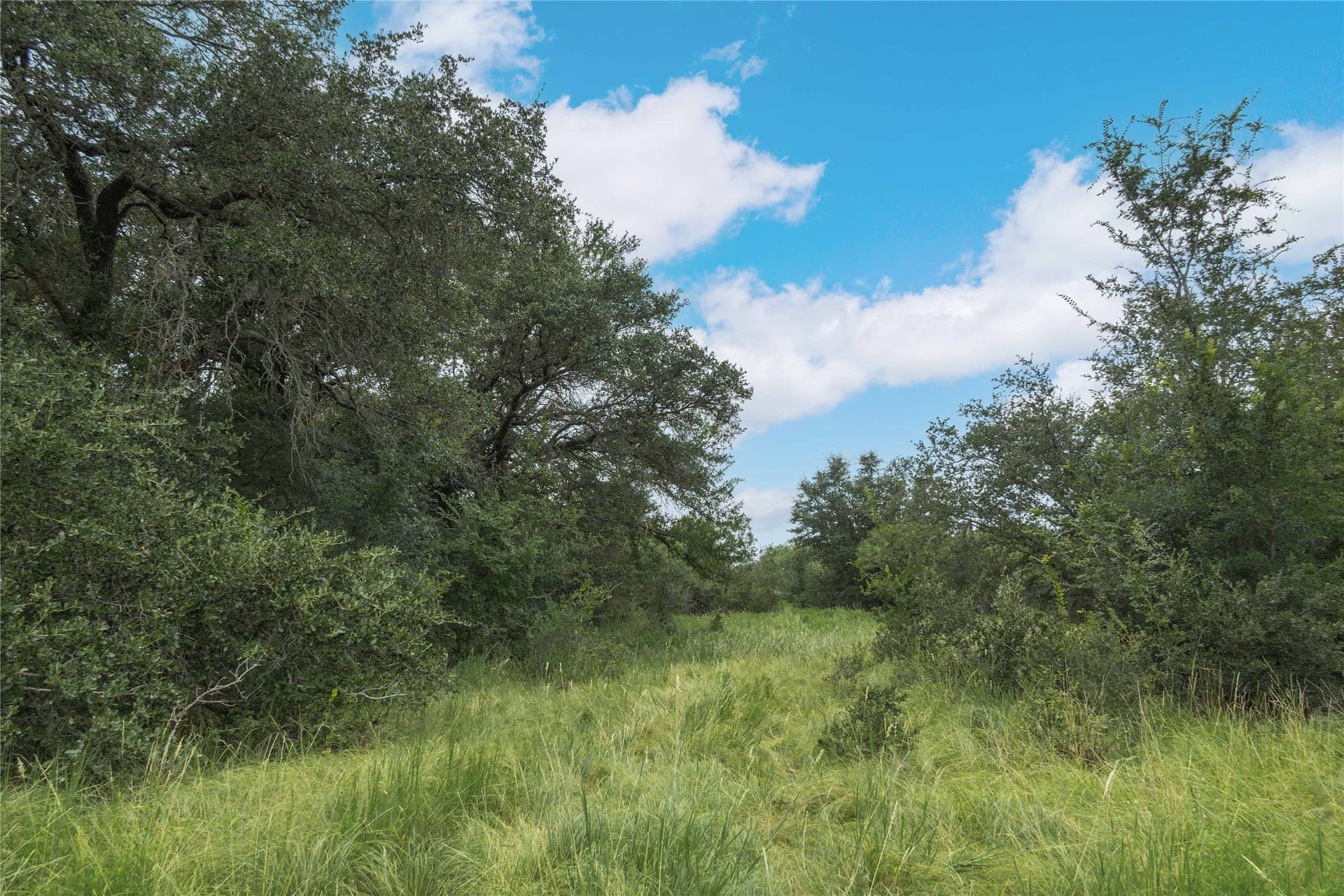 25.09 acres in Brown County - photo 15
