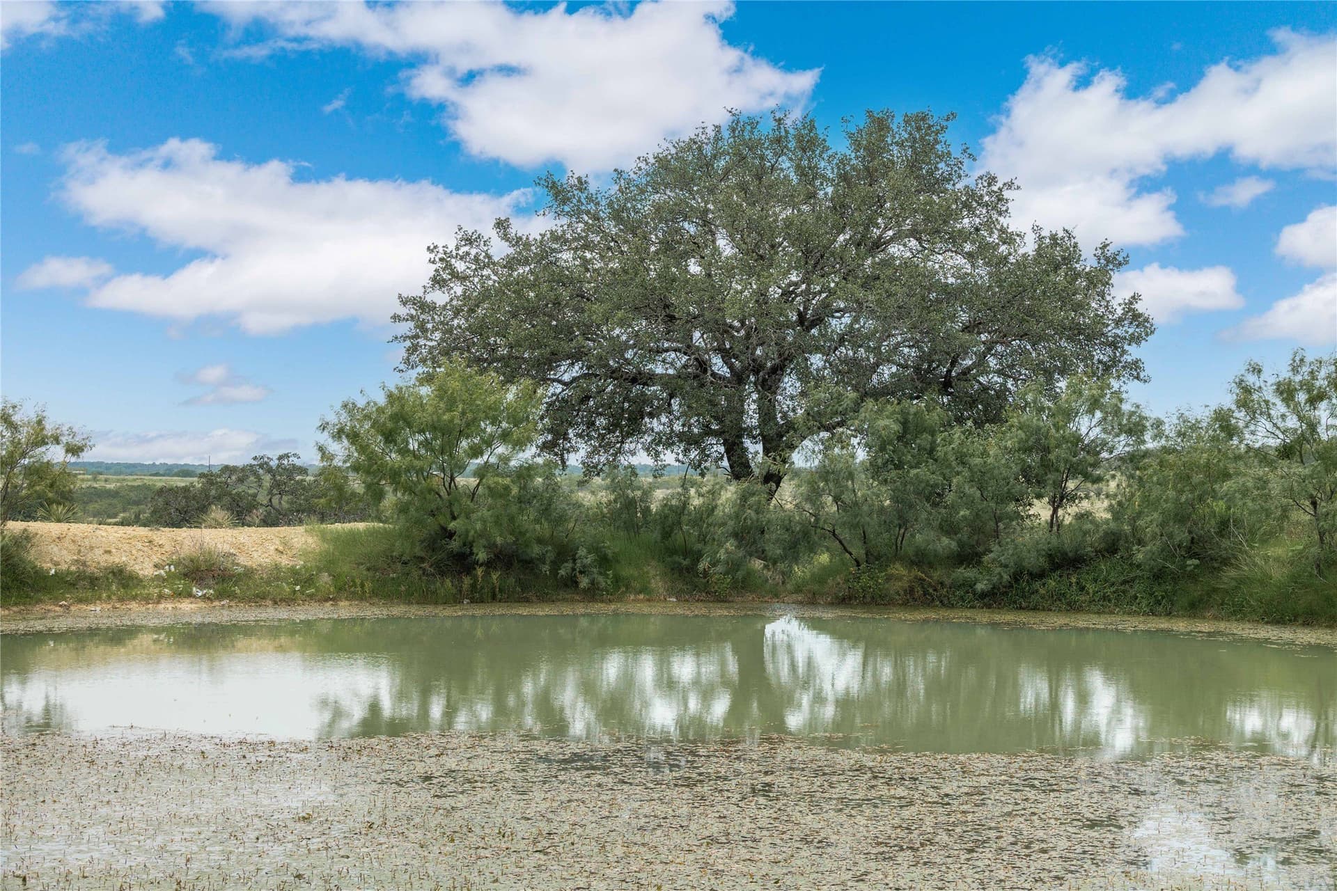 25.09 acres in Brown County - photo 3
