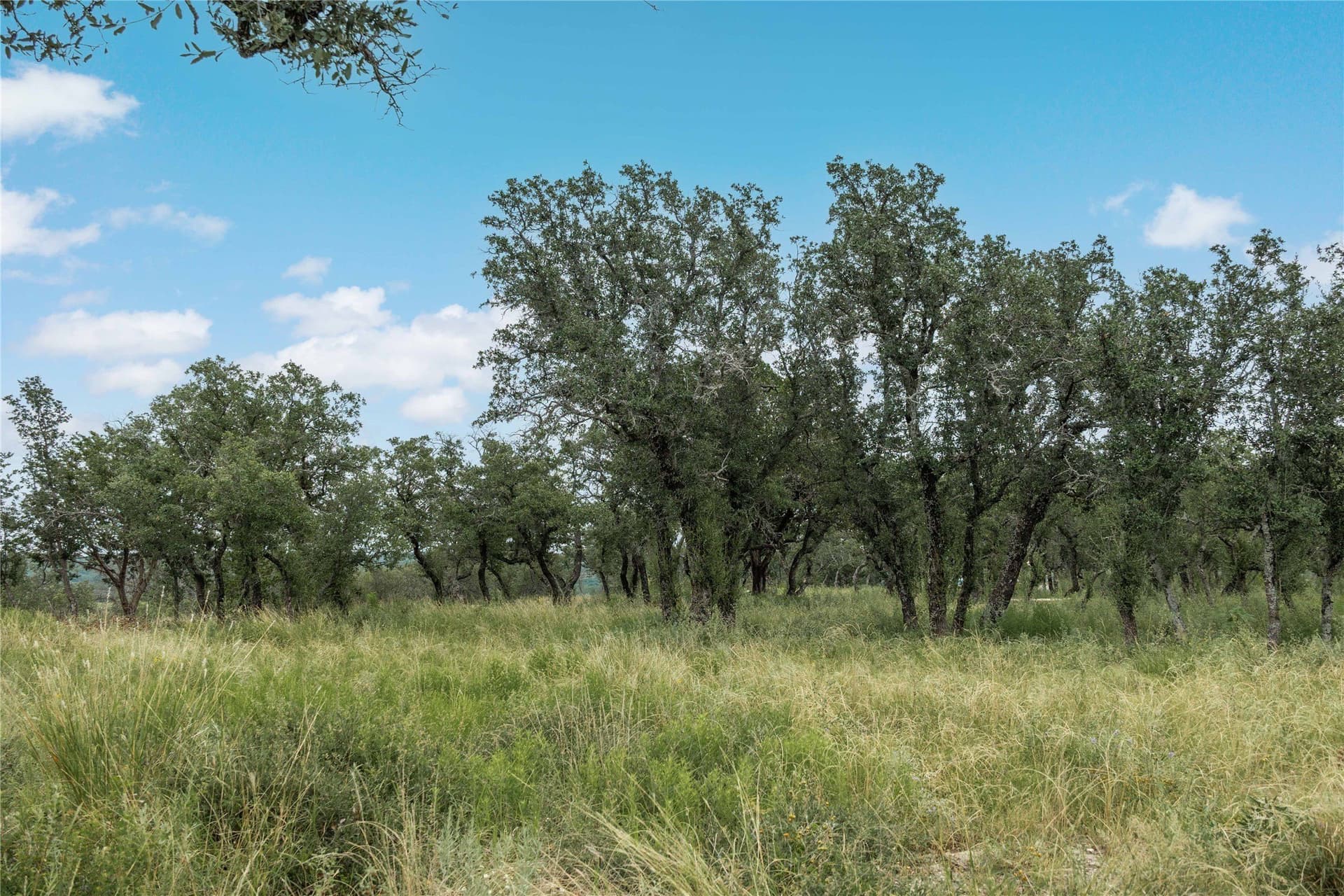 25.09 acres in Brown County - photo 19