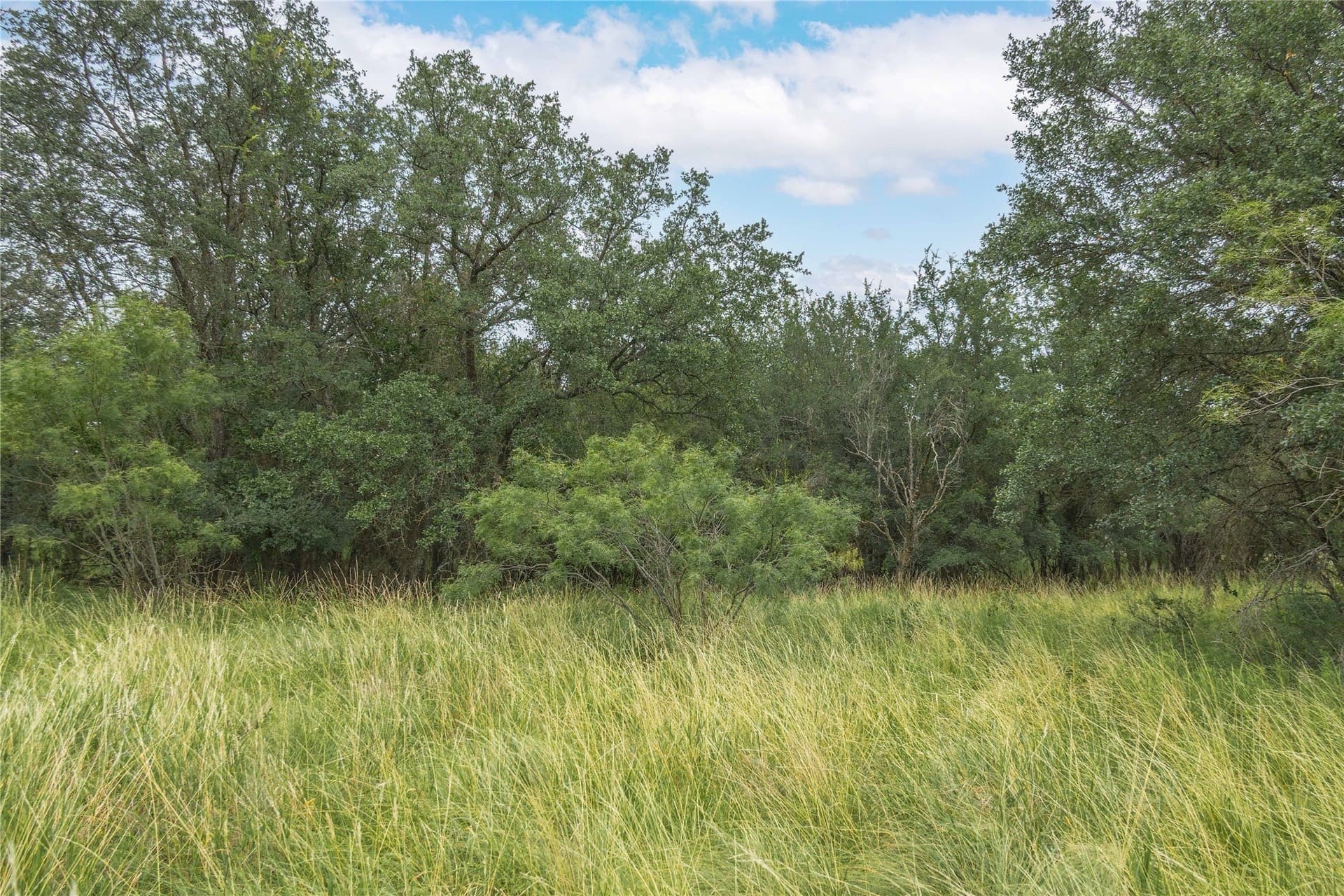 25.09 acres in Brown County - photo 17