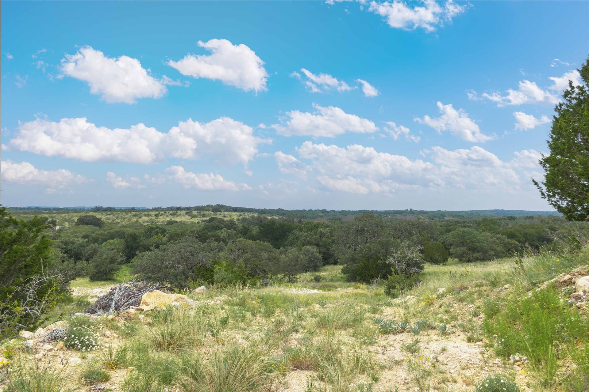 25.09 acres in Brown County - photo 4