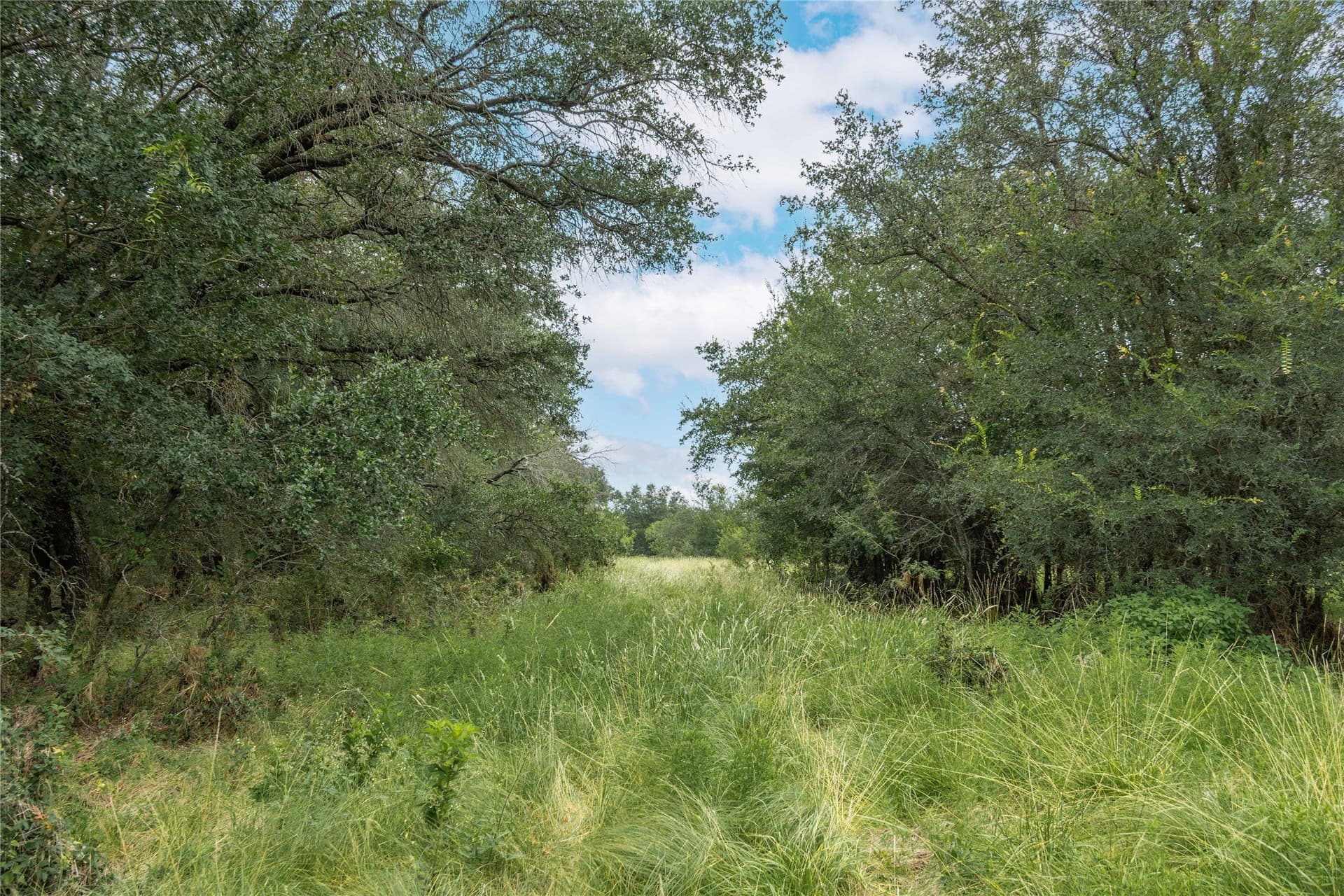 25.09 acres in Brown County - photo 16
