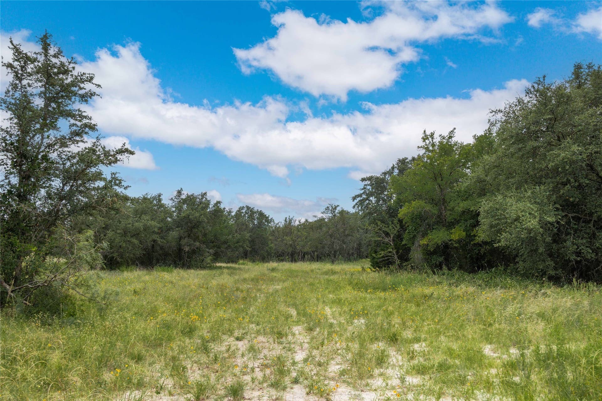 25.09 acres in Brown County - photo 26
