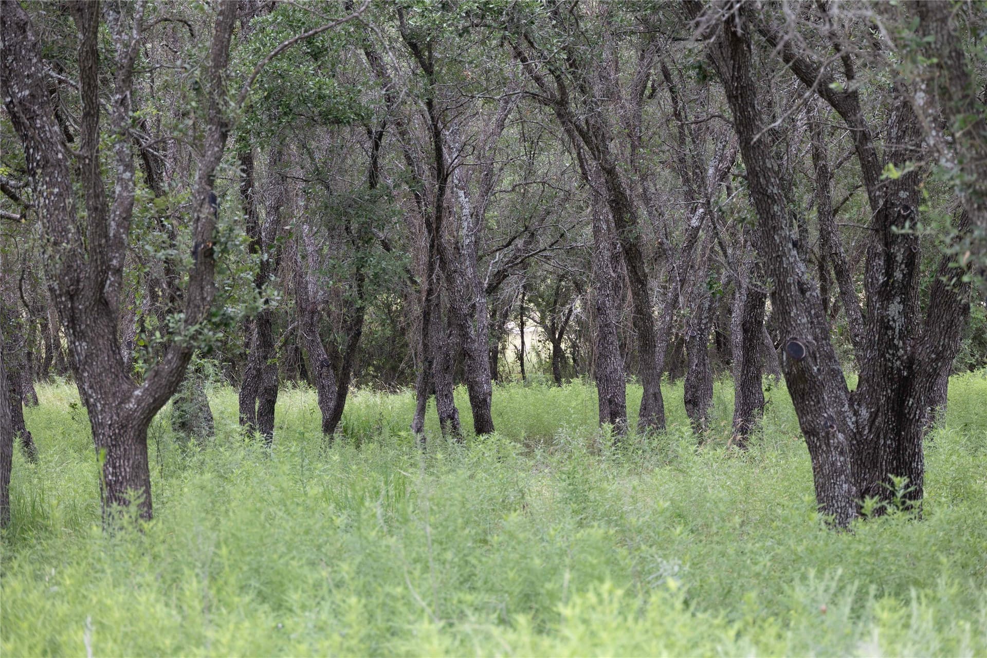 25.09 acres in Brown County - photo 22