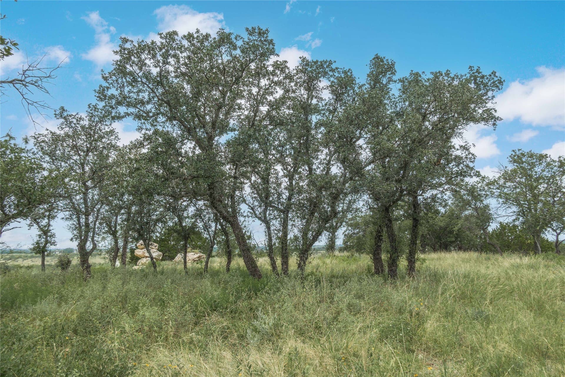 25.09 acres in Brown County - photo 7