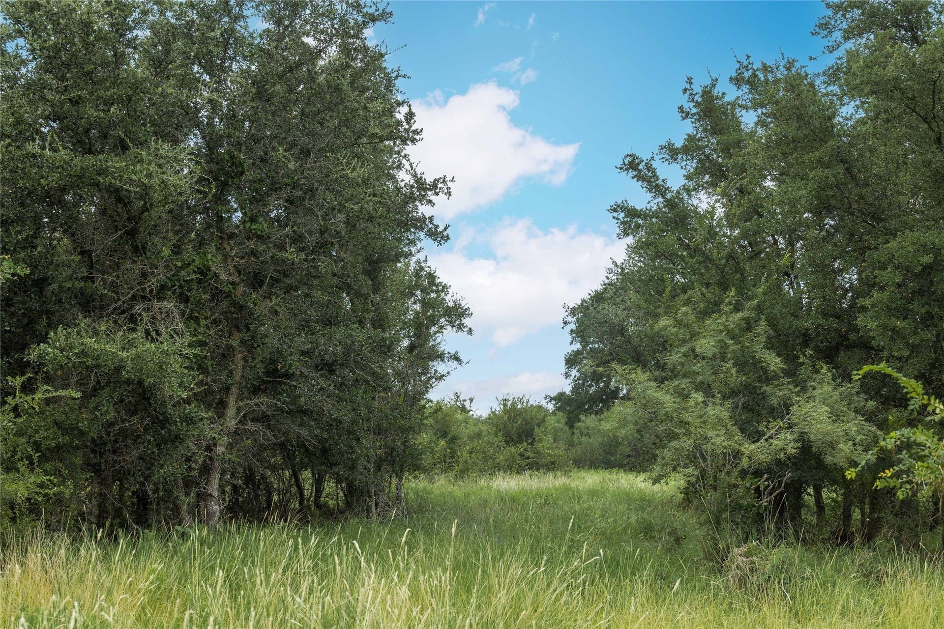 25.09 acres in Brown County - photo 14
