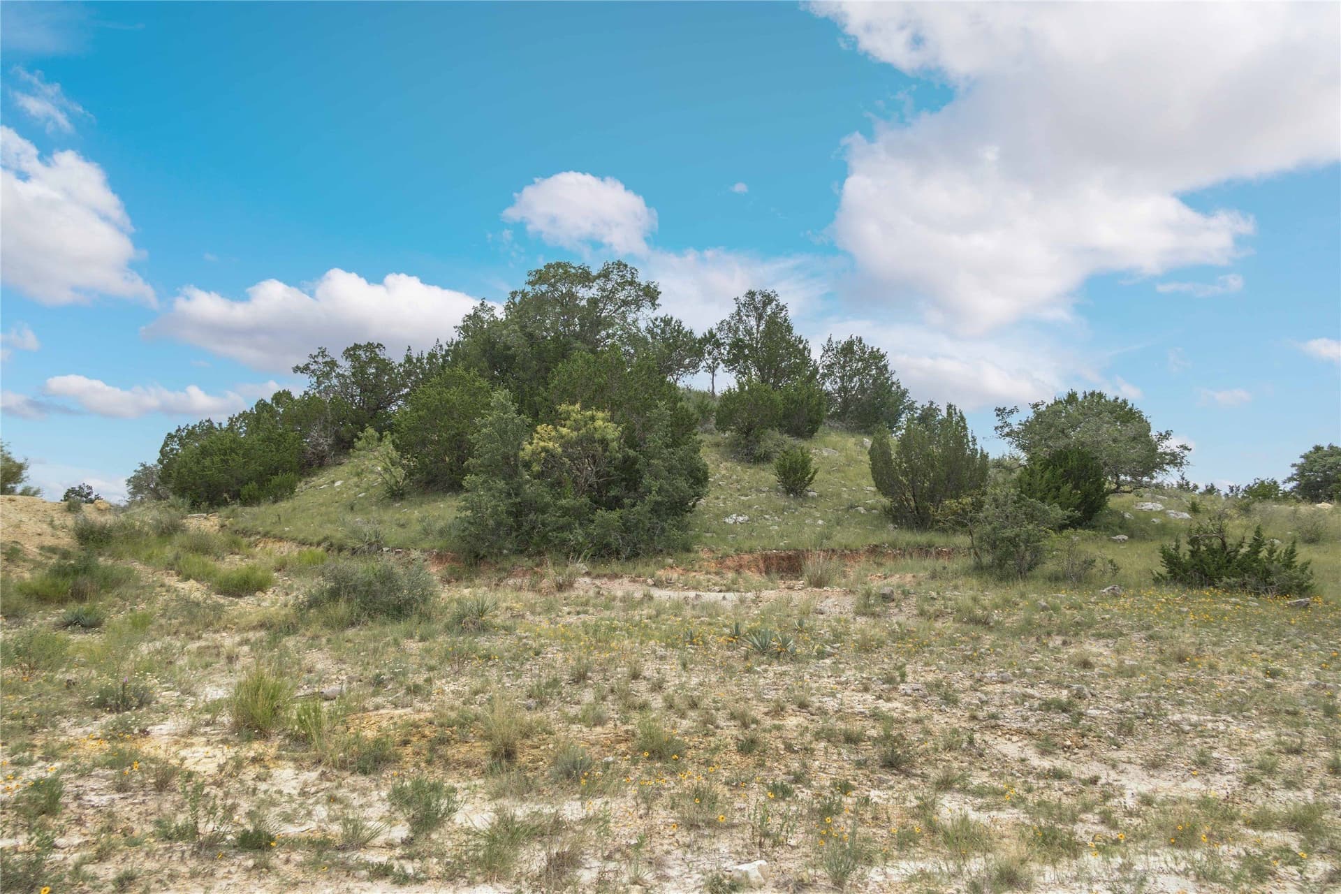 25.09 acres in Brown County - photo 36