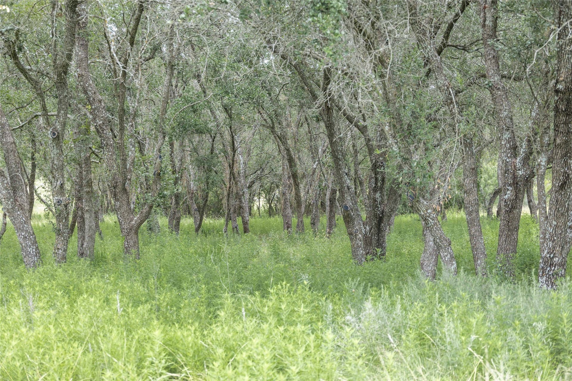 25.09 acres in Brown County - photo 23