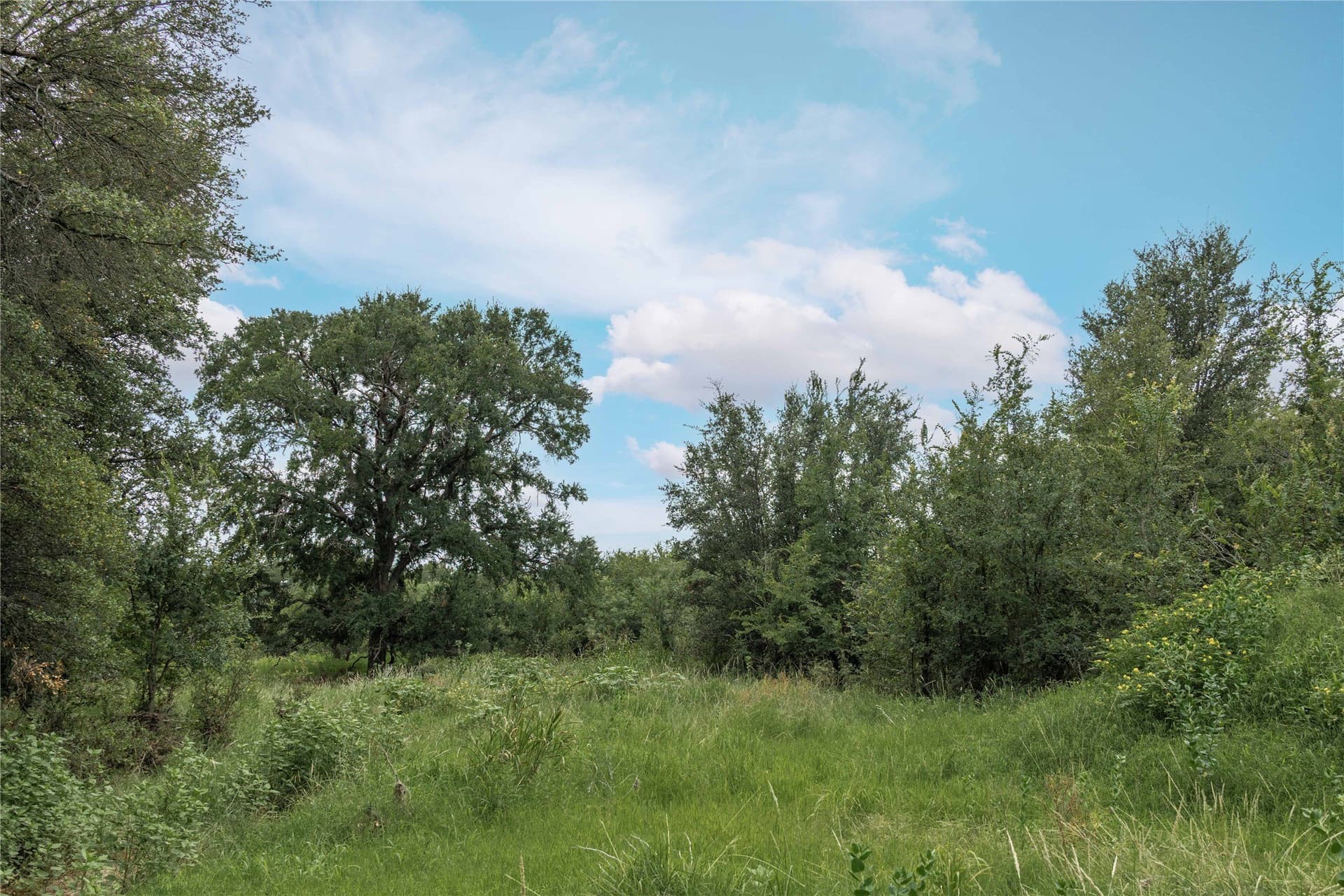 25.09 acres in Brown County - photo 5