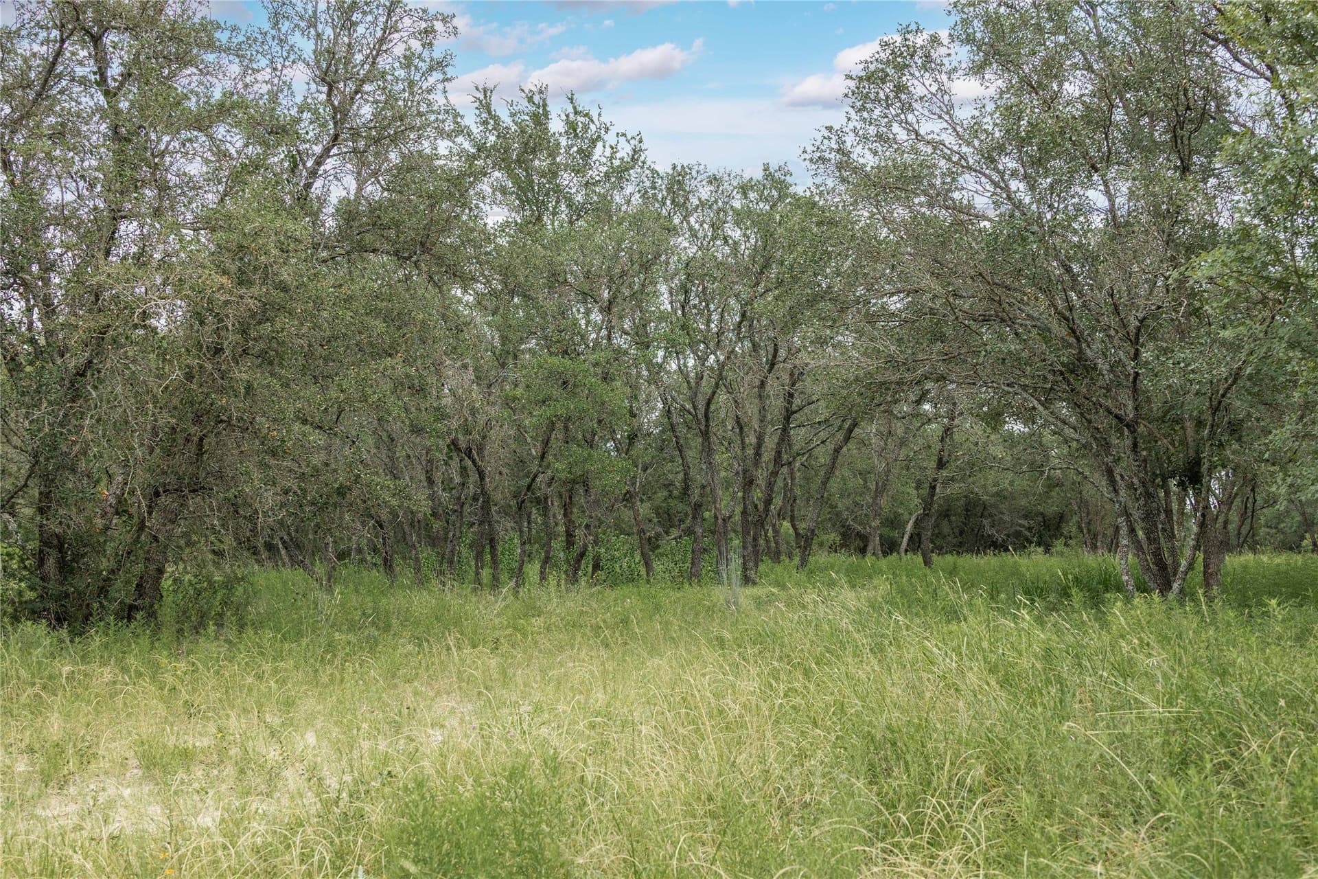 25.09 acres in Brown County - photo 33