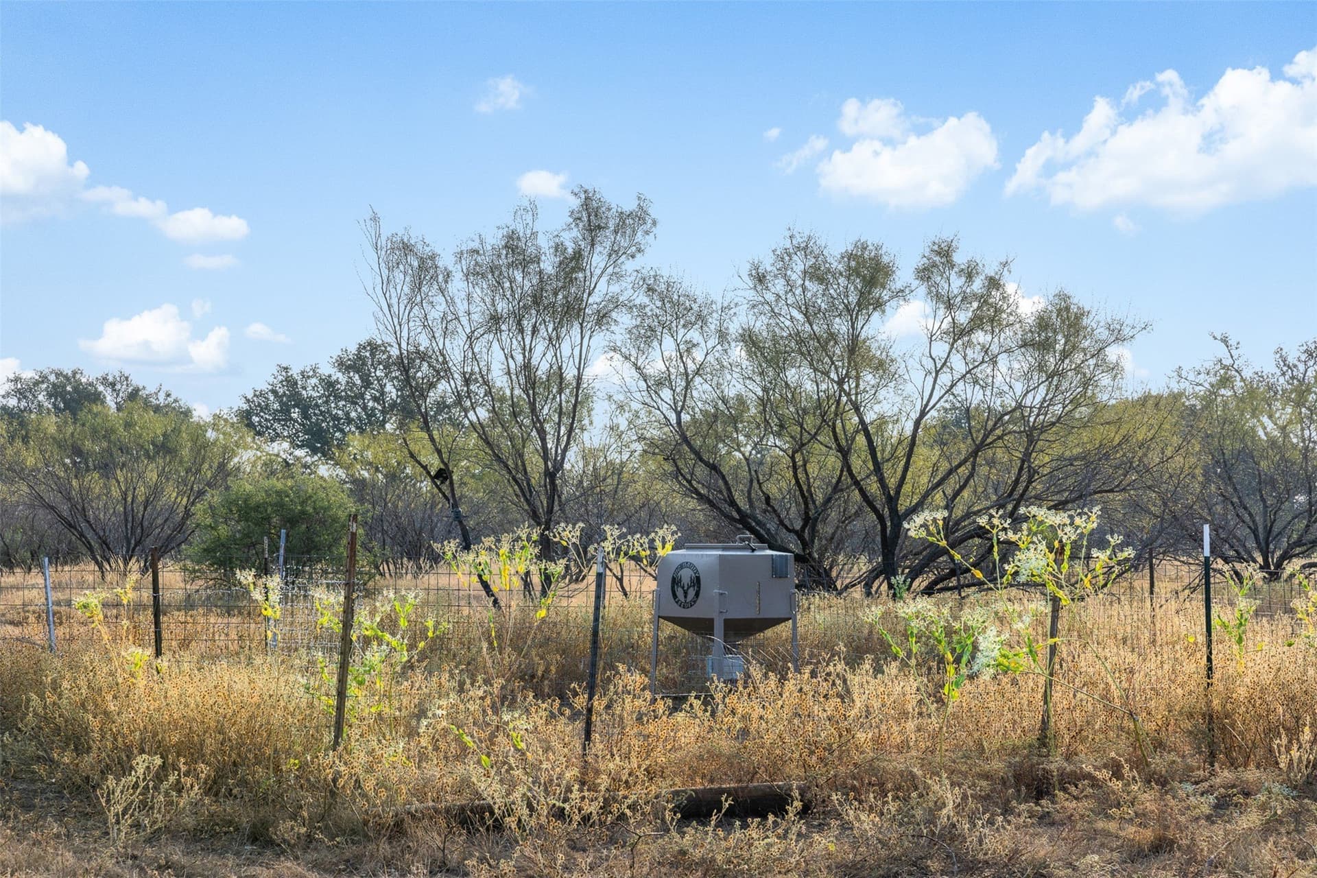 24.1 acres in McCulloch County - photo 12