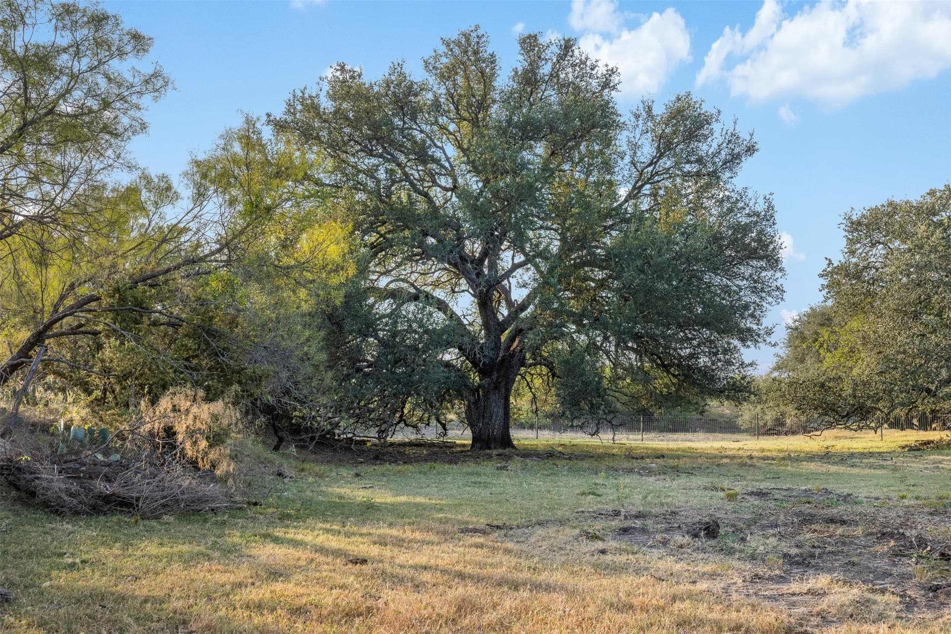 24.1 acres in McCulloch County