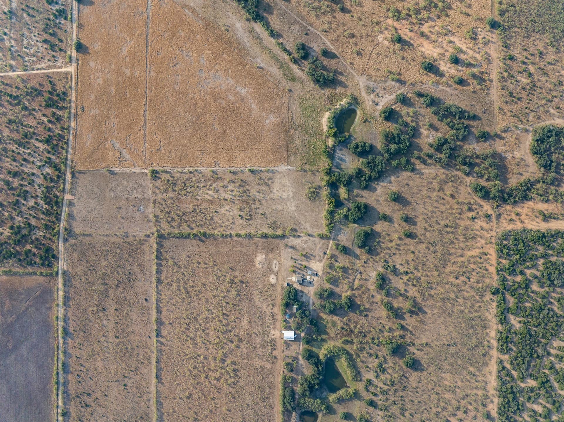 24.1 acres in McCulloch County - photo 5