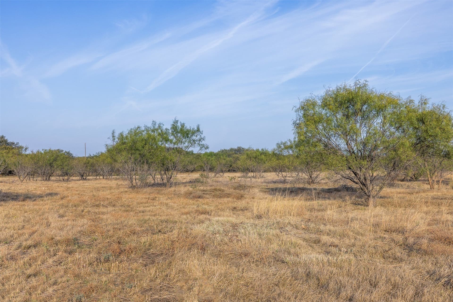 24.1 acres in McCulloch County - photo 2
