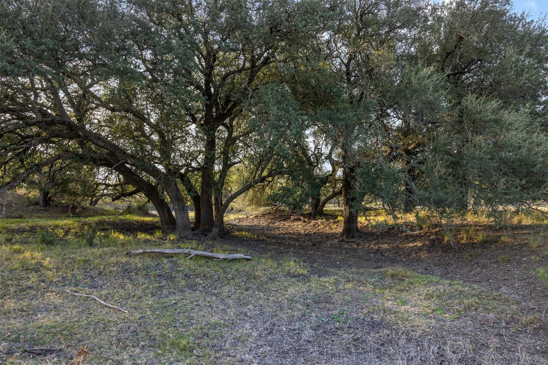 24.1 acres in McCulloch County - photo 11