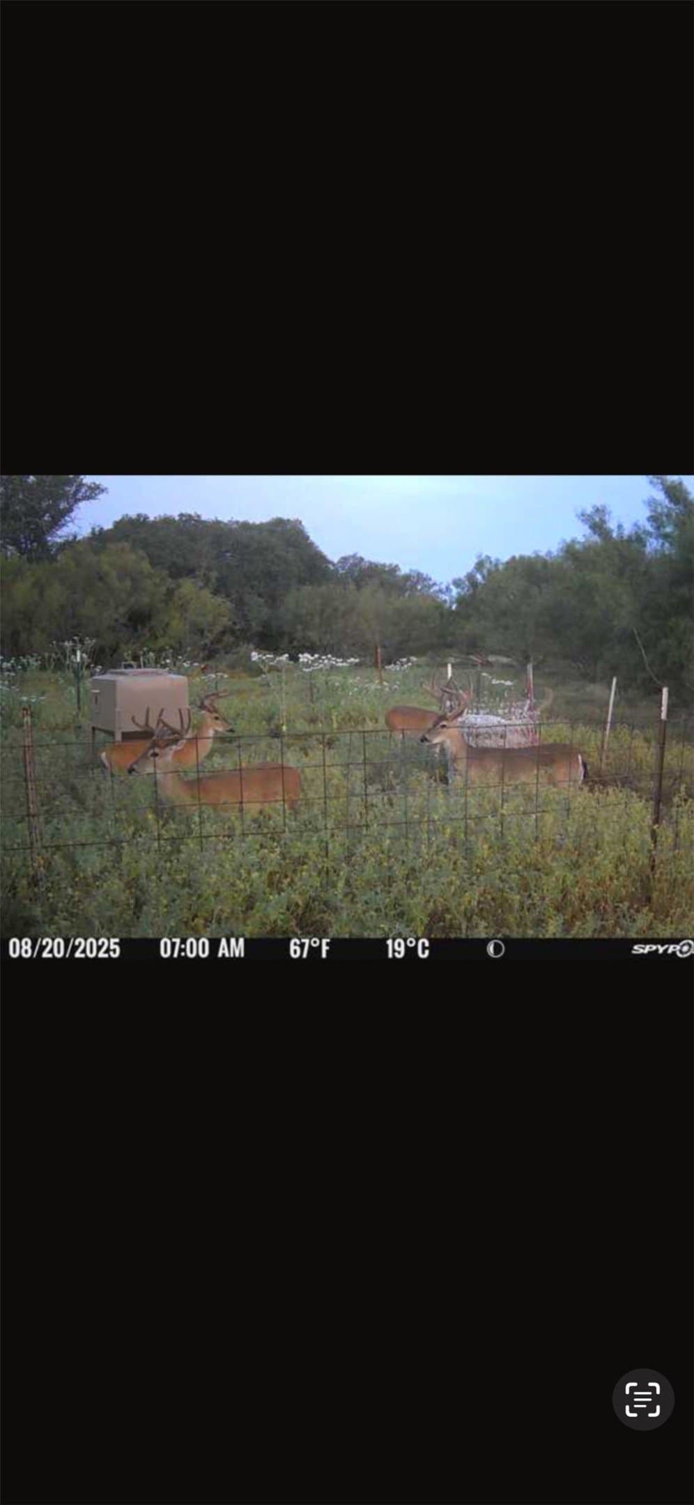 24.1 acres in McCulloch County - photo 23