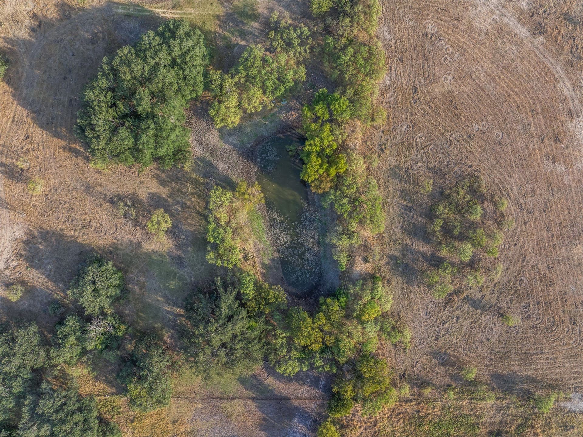 24.1 acres in McCulloch County - photo 9