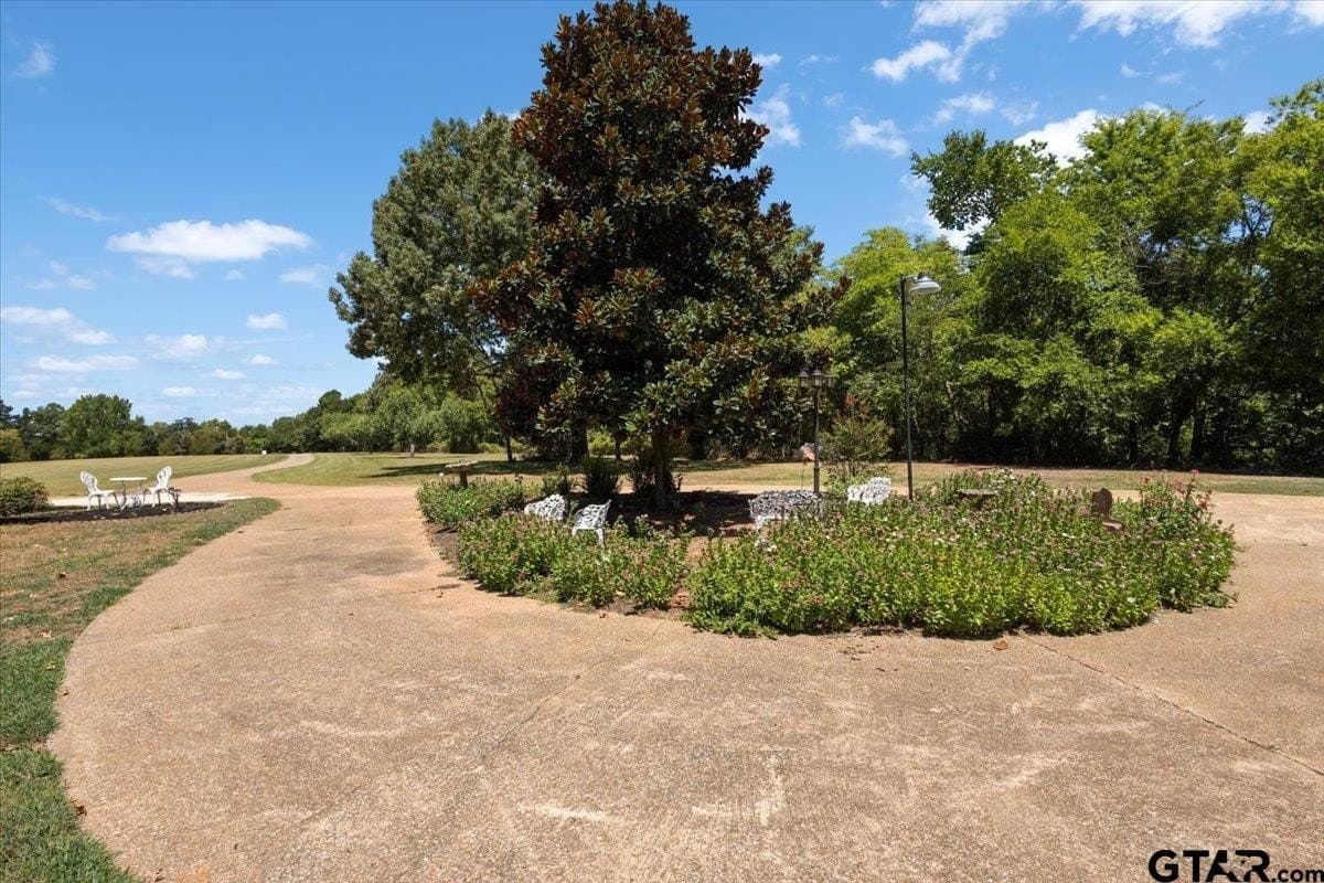 43.69 acres in Cherokee County - photo 5