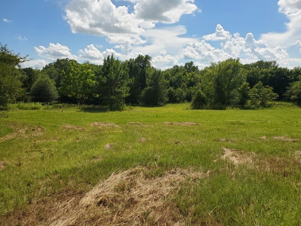 3.45 acres in Rains County - photo 8