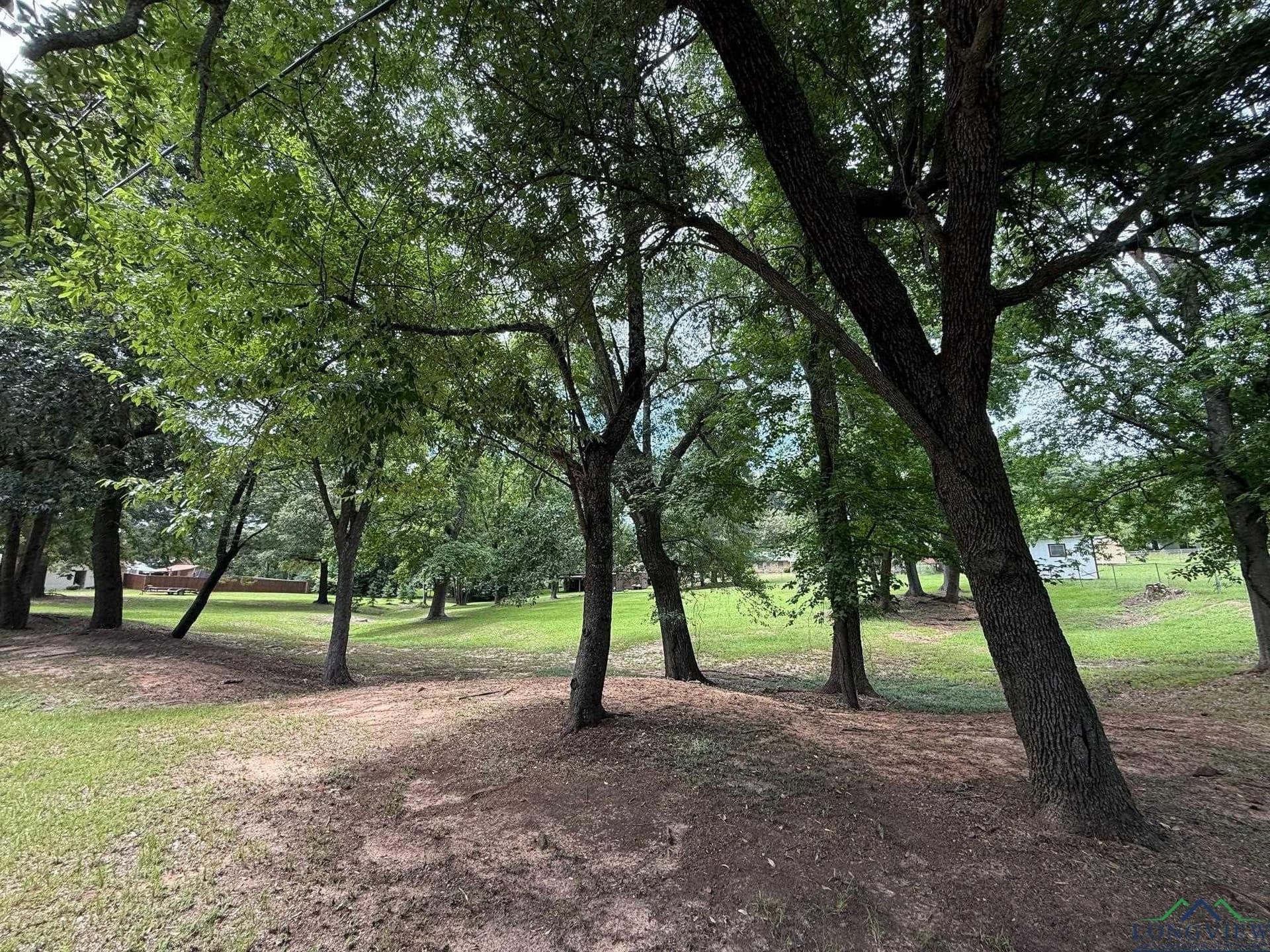 0.8 acres in Upshur County gallery image 4