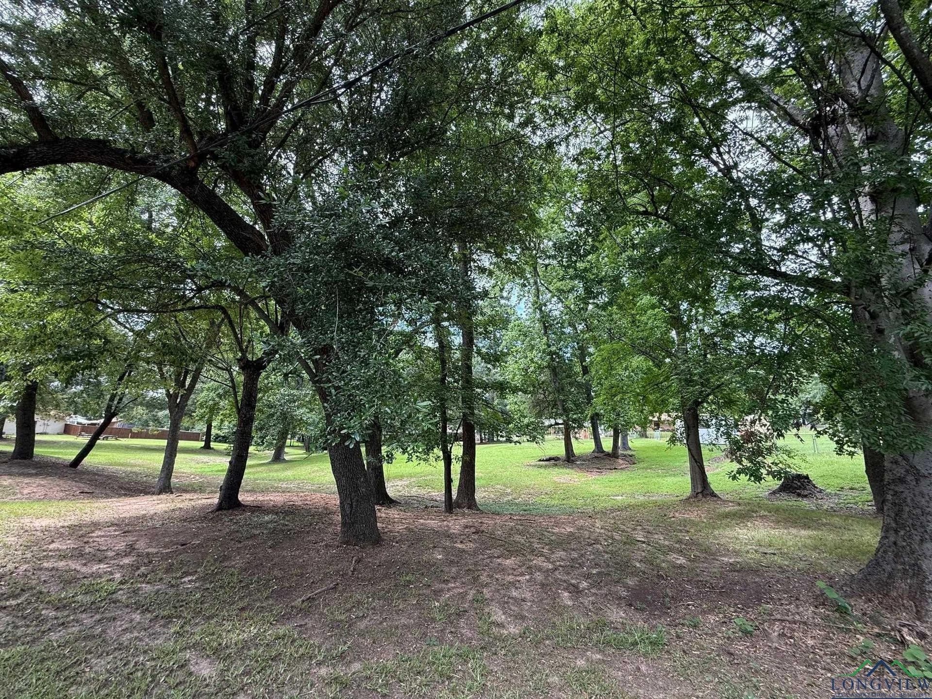 0.8 acres in Upshur County featured view